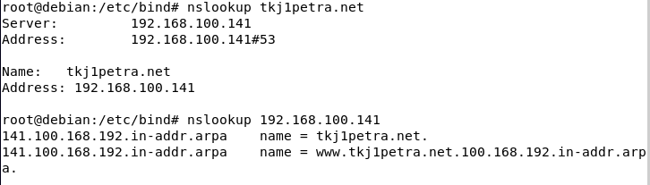 pengujian-nslookup