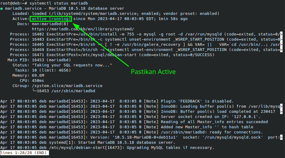 Check Mariadb Service